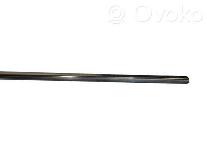 Aizmugurē durvju dekoratīvā apdare (moldings)