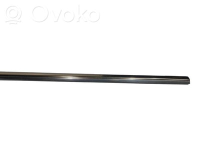 Aizmugurē durvju dekoratīvā apdare (moldings)