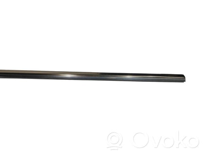 Aizmugurē durvju dekoratīvā apdare (moldings)