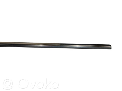 Aizmugurē durvju dekoratīvā apdare (moldings)