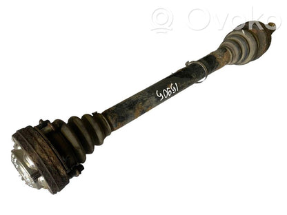 Aizmugurējā pusass