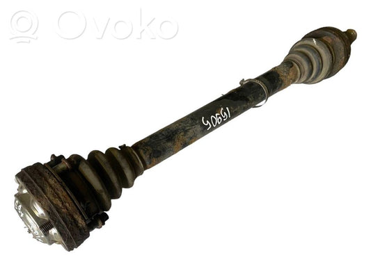 Aizmugurējā pusass