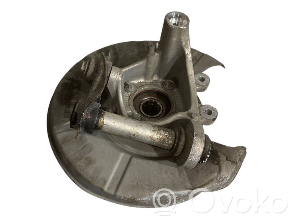 Rear wheel hub shaft joint (stupica, capfa)