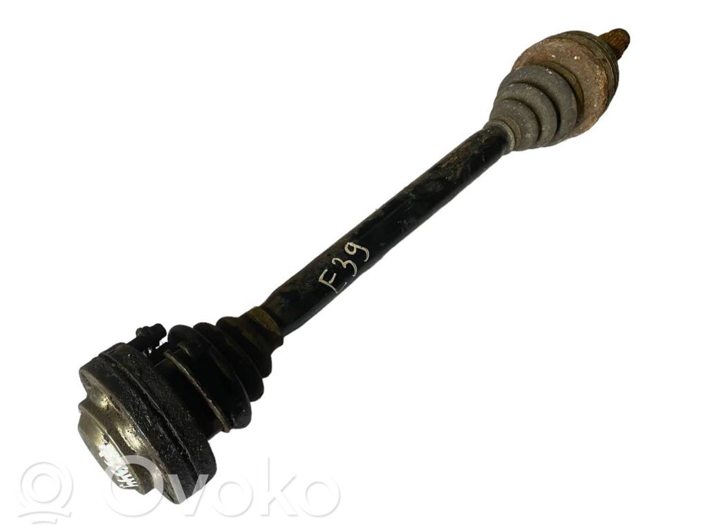 Aizmugurējā pusass