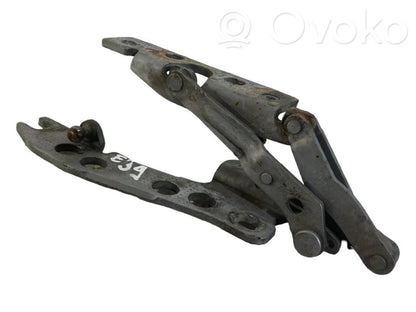 Петли капота двигателя