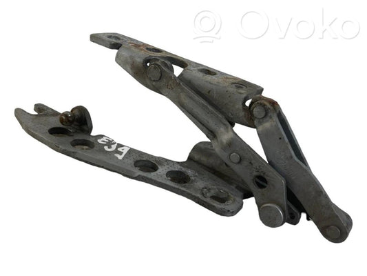 Dzinēja pārsega eņģe (-es)