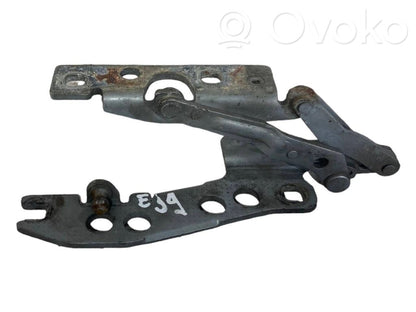 Петли капота двигателя