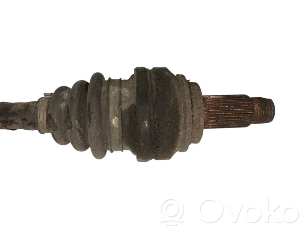 Aizmugurējā pusass