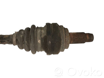 Aizmugurējā pusass