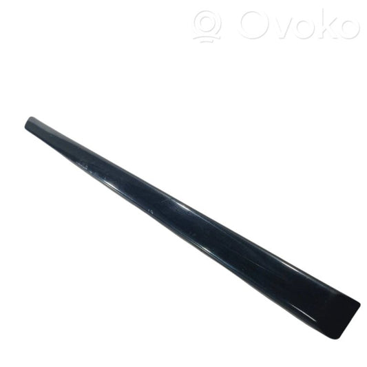 Rear door decorative trim (moulding)