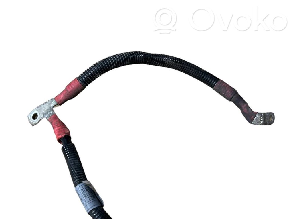 Plusa vads (akumulatora)