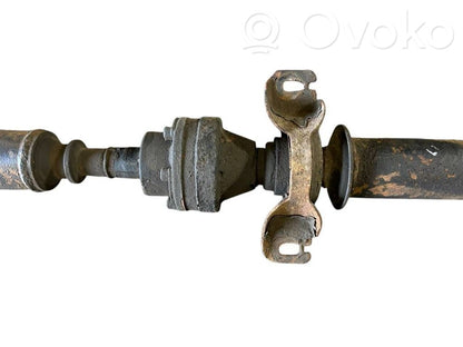 Aizmugurējais kardāns