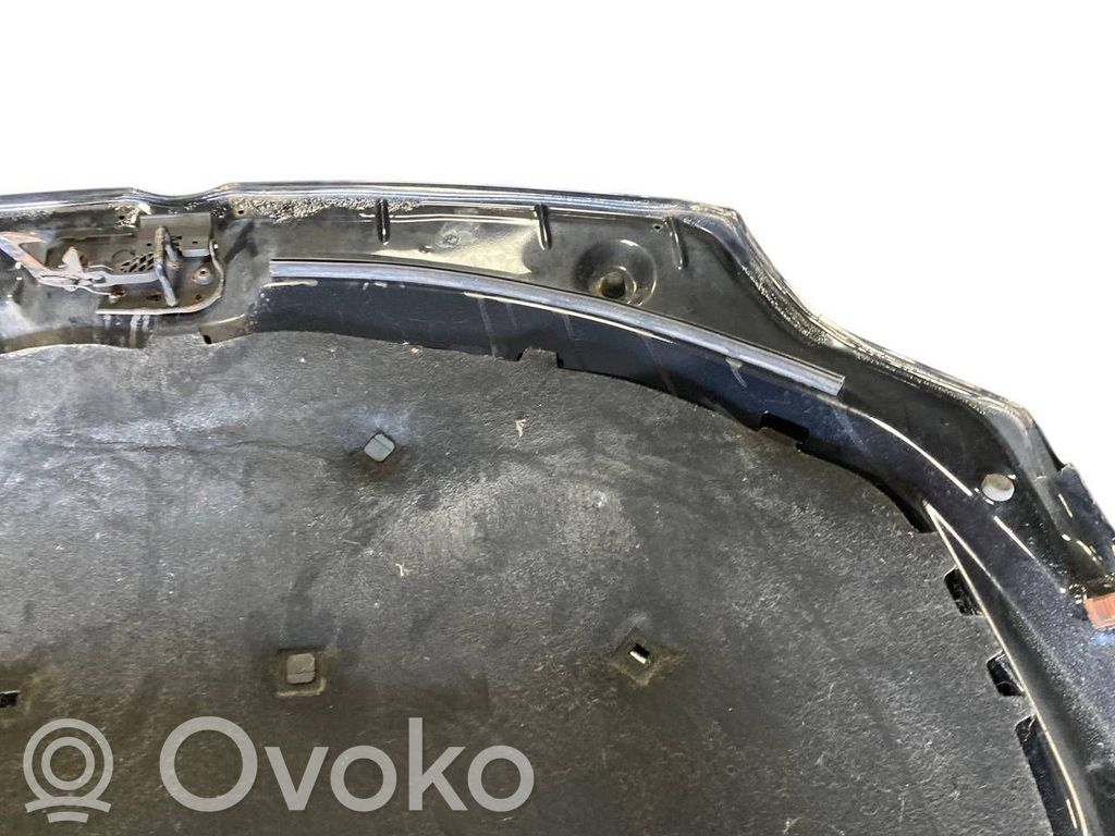 Dzinēja pārsegs (vāks)