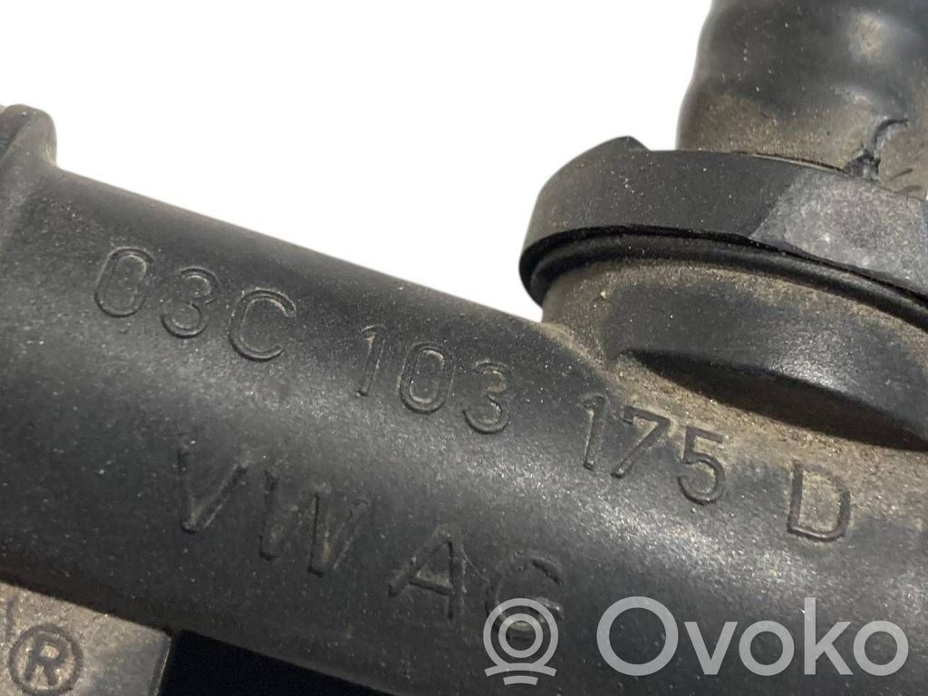 Caurulīte (-es) / šļūtene (-es)