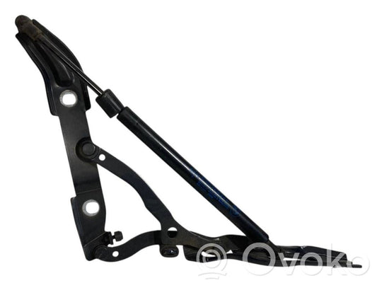 Aizmugurējā pārsega eņģe (-ess)