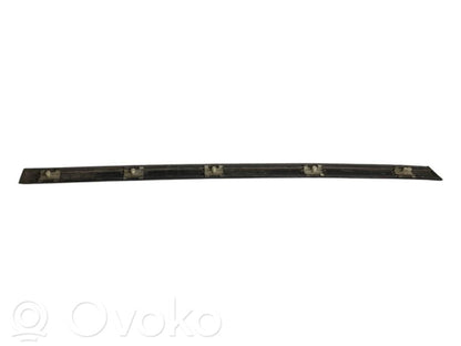 Aizmugurē durvju dekoratīvā apdare (moldings)