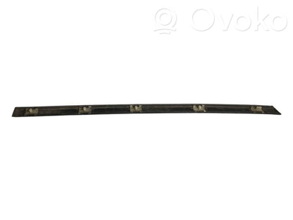 Aizmugurē durvju dekoratīvā apdare (moldings)