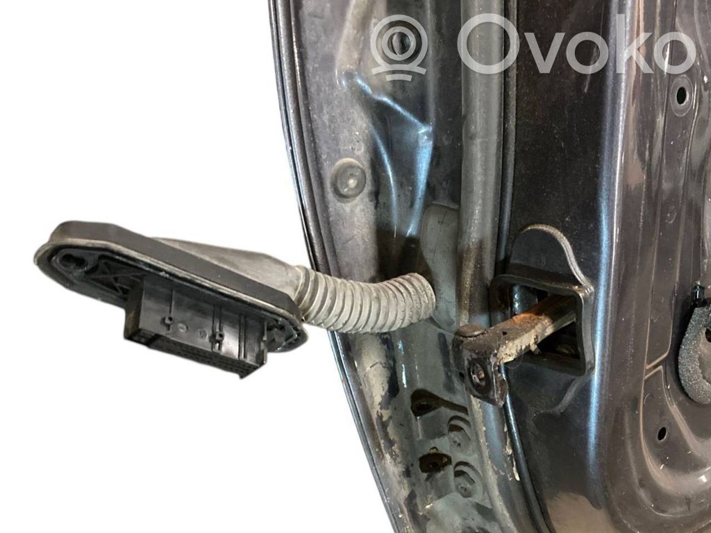 Aizmugurējās durvis