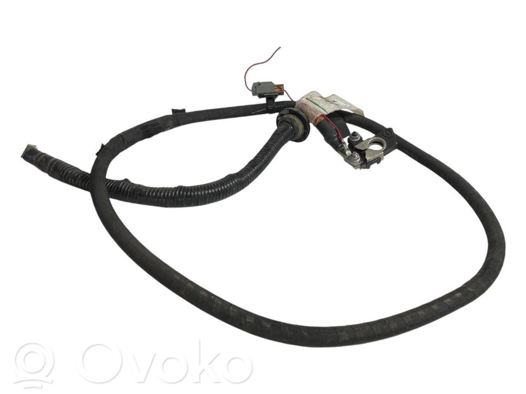 Plusa vads (akumulatora)