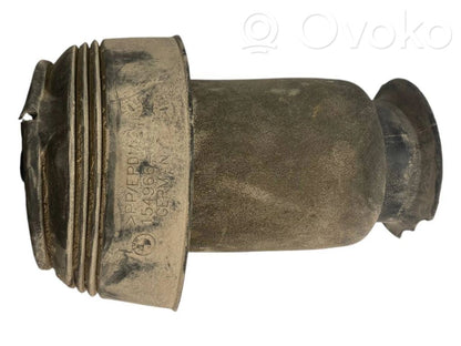 Aizmugurē gaisa spilvens