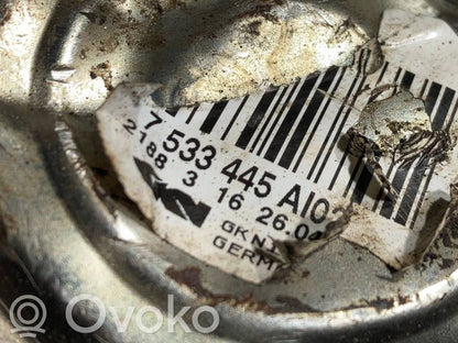 Aizmugurējā pusass