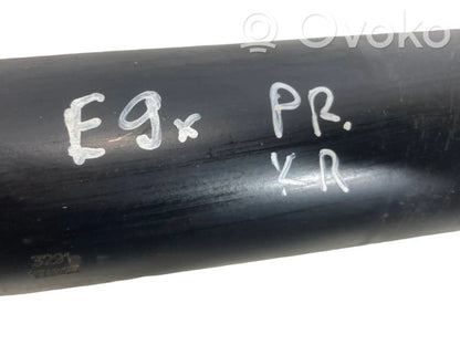 Priekšpusē amortizators ar atsperi