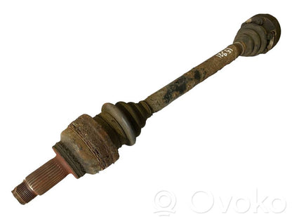 Aizmugurējā pusass