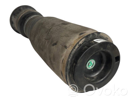 Aizmugurē gaisa spilvens