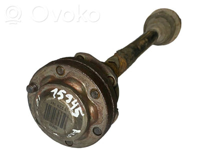 Aizmugurējā pusass