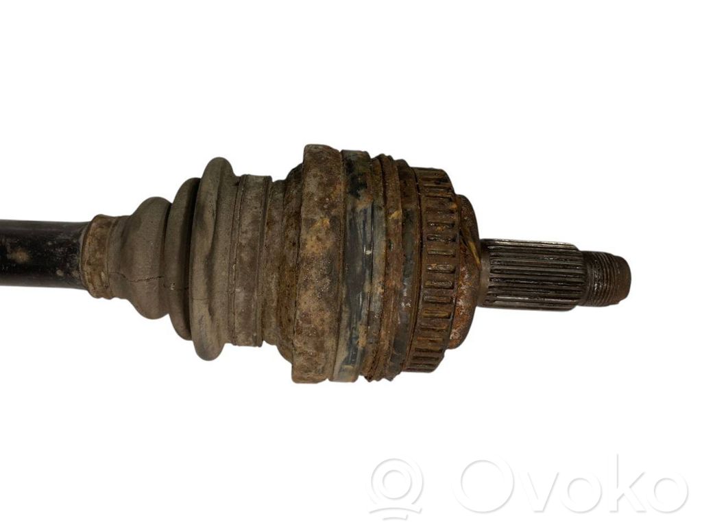 Aizmugurējā pusass