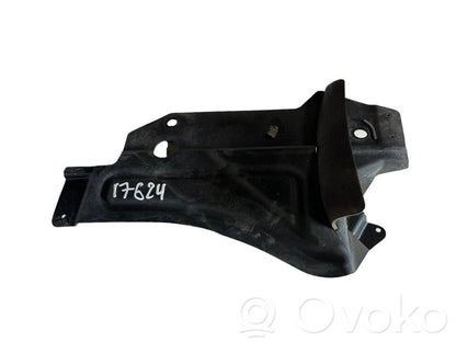 Underbody protection at the rear of the chassis