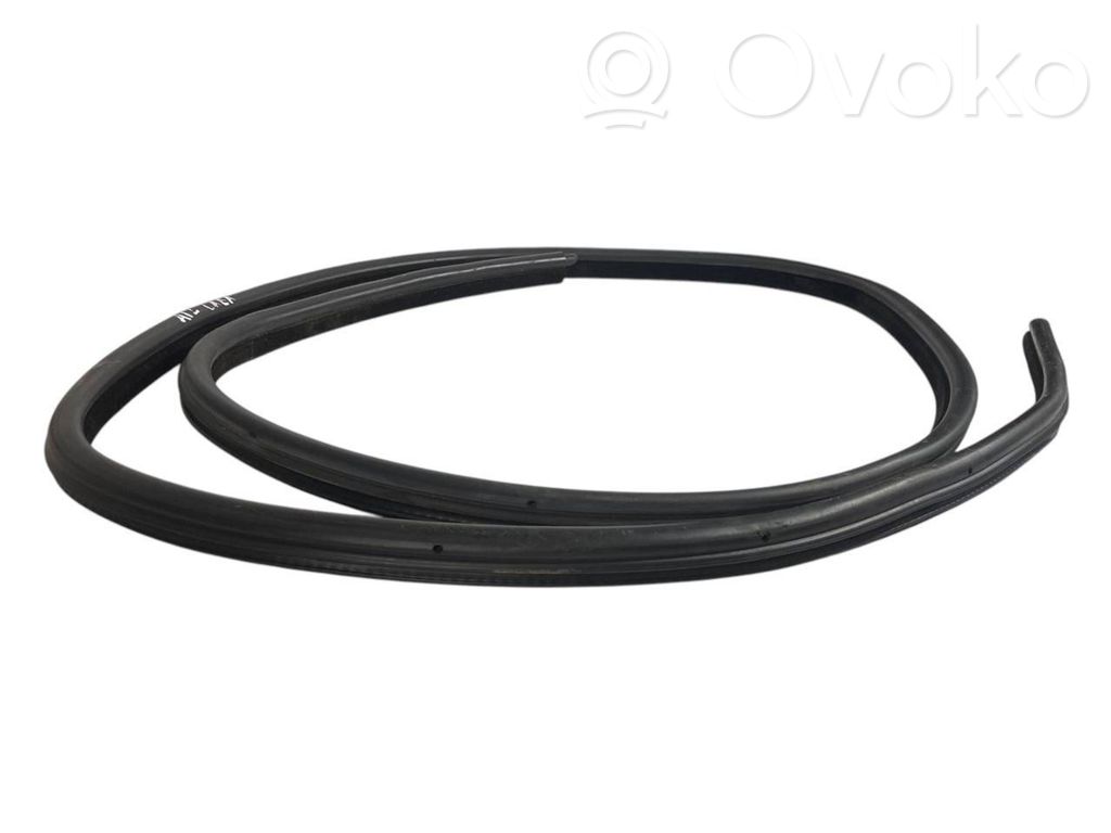 Aizmugurē apdares gumija (virsbūvē)