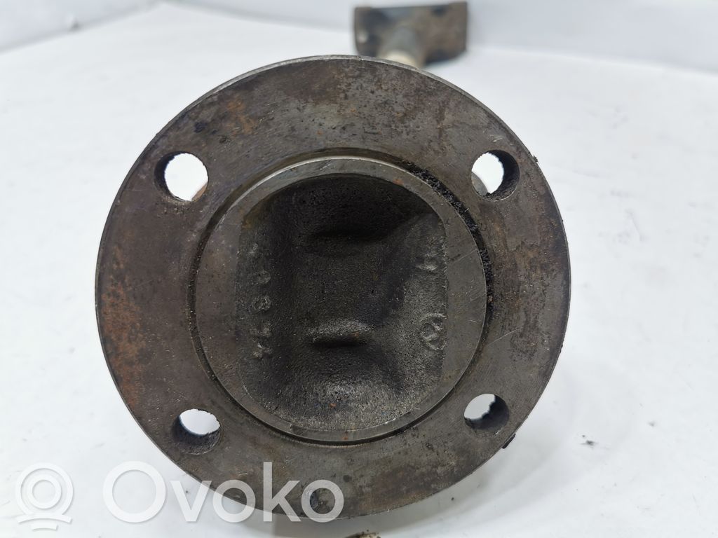 Aizmugurējā pusass