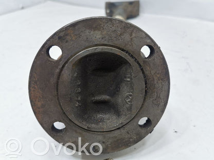 Aizmugurējā pusass