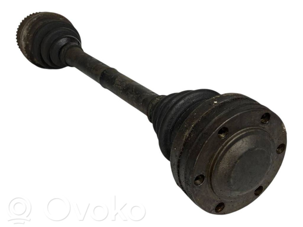 Aizmugurējā pusass