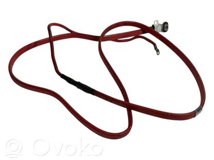 Plusa vads (akumulatora)