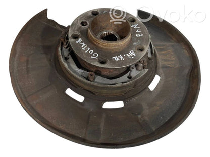 Rear wheel hub shaft joint (stupica, capfa)