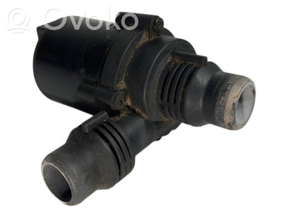 Elektriskais cirkulācijas sūknītis