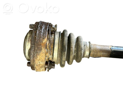 Aizmugurējā pusass