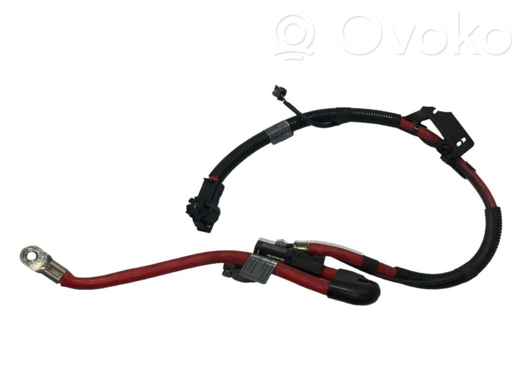 Plusa vads (akumulatora)