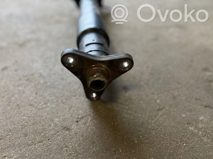 Aizmugurējais kardāns