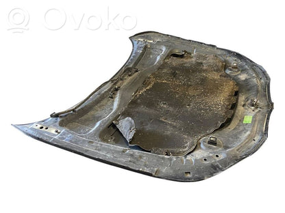 Dzinēja pārsegs (vāks)