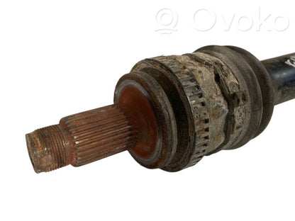 Aizmugurējā pusass