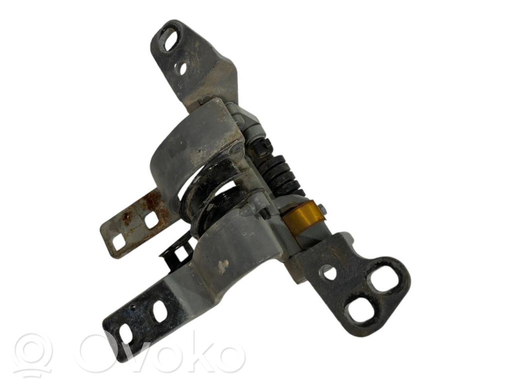 Aizmugurējā pārsega eņģe (-ess)