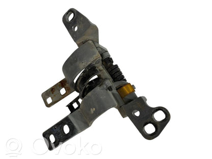 Aizmugurējā pārsega eņģe (-ess)