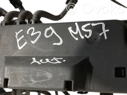 Engine wiring harness