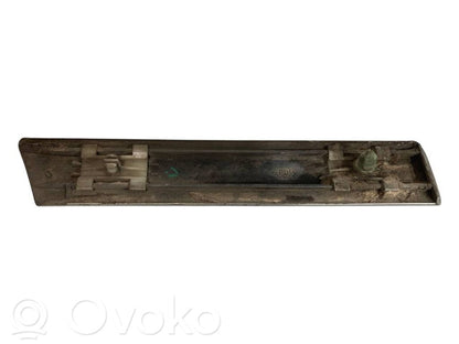 Fender decorative trim (molding)