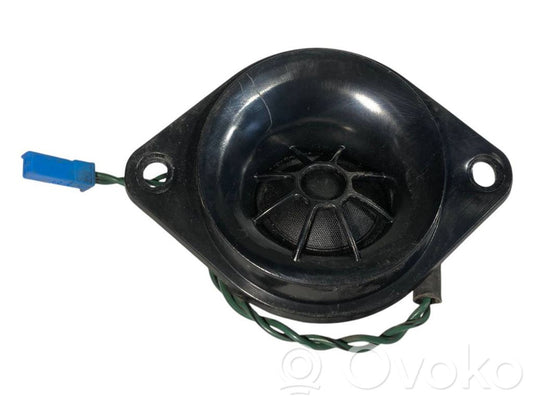 Speaker(s) in front door