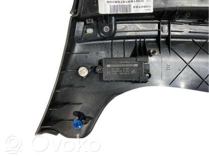 Apšuvums aizmugurējām durvīm