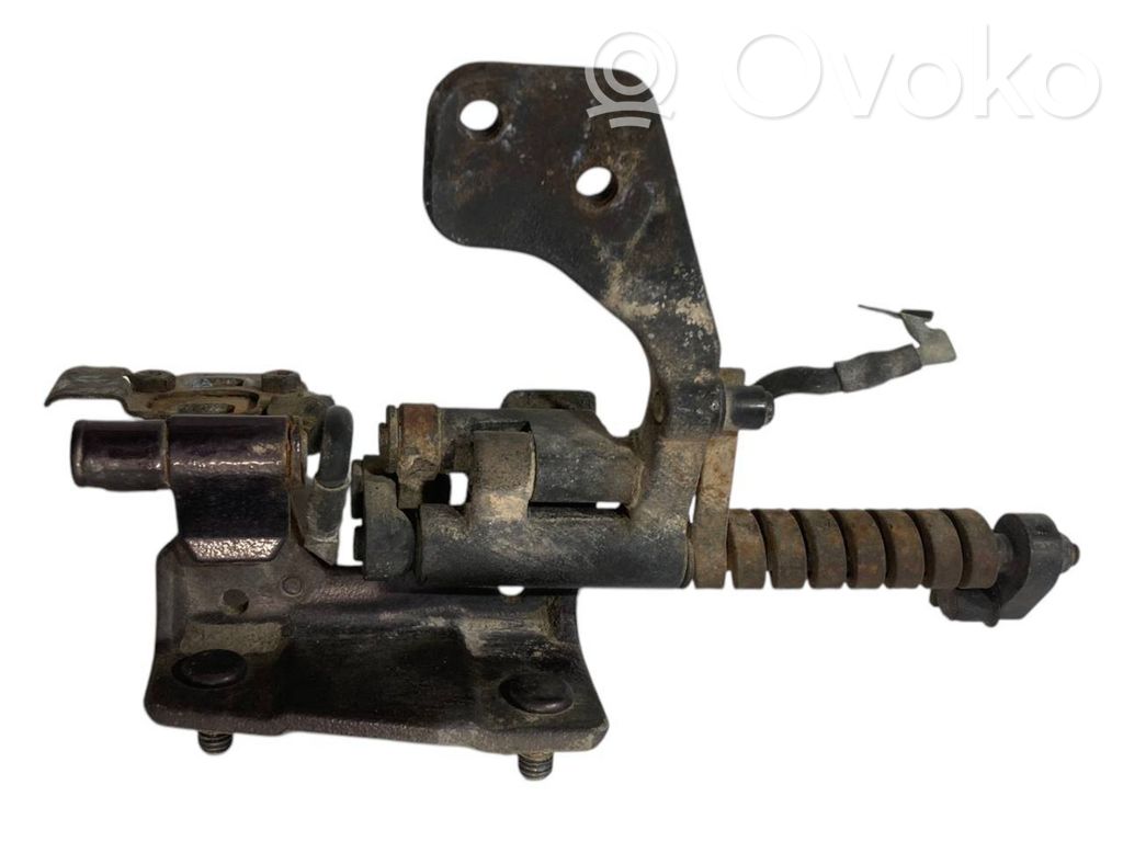 Aizmugurējā pārsega eņģe (-ess)